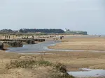 Best dog friendly beaches in Norfolk.  Here you'll find the most comprehensive guide to dog friendly beaches on the Norfolk coast