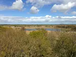 Nature Reserves Hickling Broad