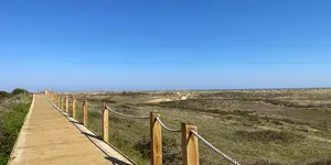 Thornham Boardwalk