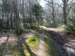Holt Country Park is a wonderful escape from the hustle and bustle of the North Norfolk coastline.  Pretty woodland walks, dog friendly, an excellent day out