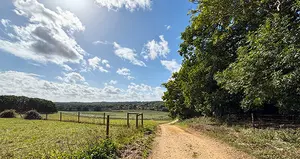 Walsingham Way Pilgrimage Route