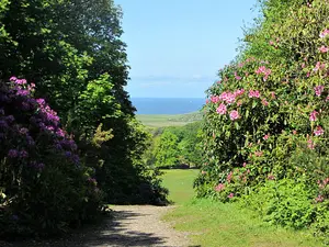 Sheringham Park is a huge National Trust park open to anyone, with the best views in Norfolk.  Wonderful varied walks with beautiful landscape and scenery