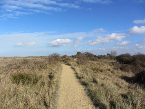 The compacted path heading towards Holme Dunes visitor centre The compacted path heading towards Holme Dunes visitor centre