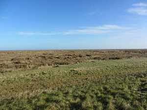 The salt marshes towards Stiffkey