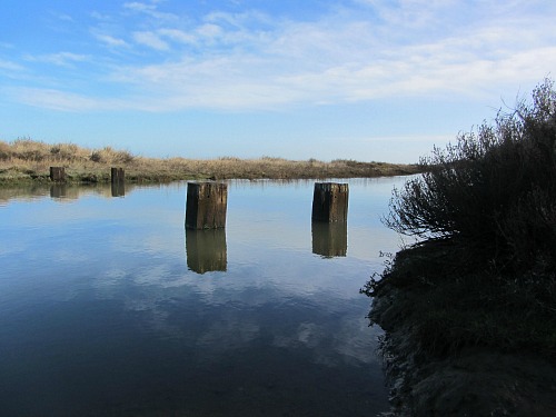 Water's edge at Stiffkey