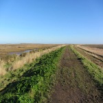 One of the paths along the Norfolk Coast Path One of the paths along the Norfolk Coast Path