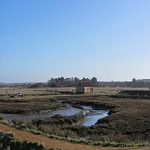 Water meadows near Thornham Water meadows near Thornham