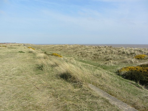 The dunes at Caister The dunes at Caister