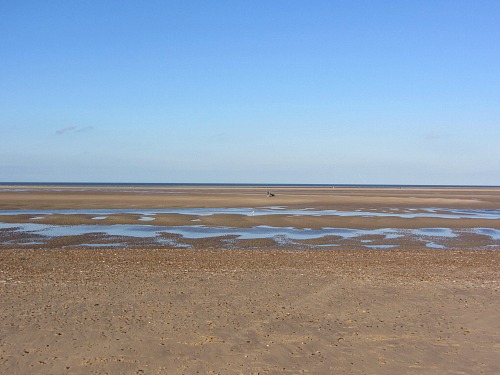 A Norfolk beach! A Norfolk beach!