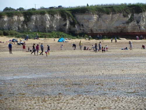 can you take dogs on old hunstanton beach