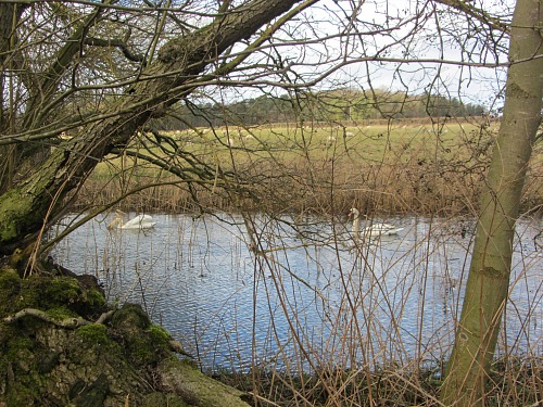 Peace on the Peddars Way and Norfolk Coast Path long distance walk Peace on the Peddars Way and Norfolk Coast Path long distance walk