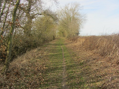 The arrow straight tracks along the Peddars Way The arrow straight tracks along the Peddars Way