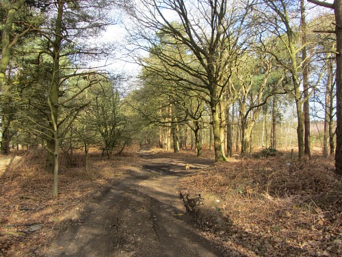 The historic Peddars Way