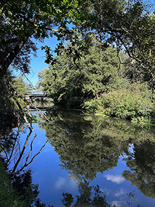 River Wensum on the Walsingham Way River Wensum on the Walsingham Way