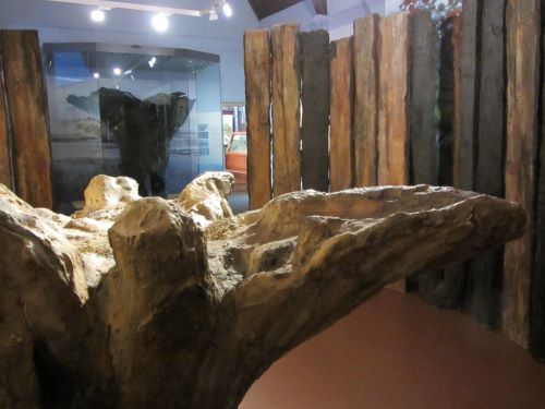 Seahenge timbers at Lynn Museum