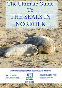 Ultimate guide to seals book cover