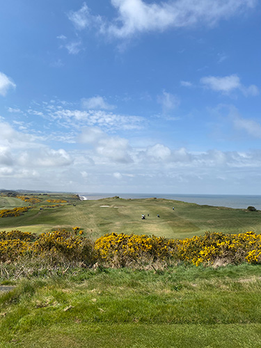 Sheringham golf course and the gorse Sheringham golf course and the gorse