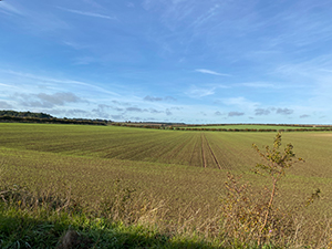 Wells and Walsingham Light Railway open countryside
