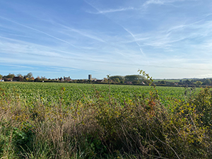 Wells and Walsingham Light Railway Wighton church