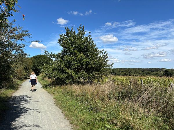 Walsingham Way paths