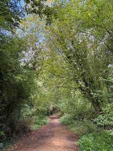 Walking along the Walsingham Way