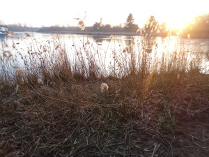 Holkham Nature Reserve Holkham Nature Reserve
