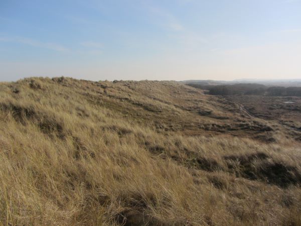 The open expanse of Winterton Dunes on the Norfolk Coast Path