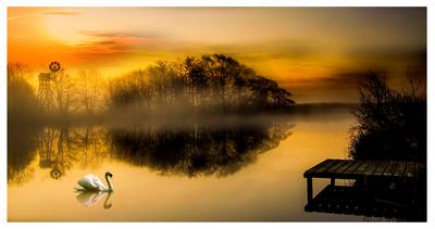 A morning at Woodbastwick