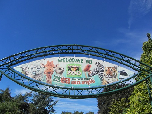 Welcome to Banham Zoo!