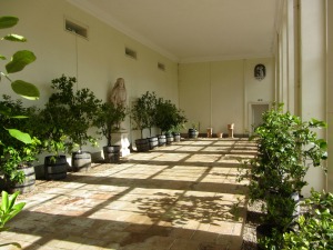 Orangery at Blickling Hall
