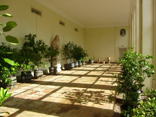 The Orangery, Blickling Hall