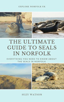 Ultimate guide to seals