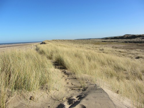 The views of the beach from the dunes The views of the beach from the dunes