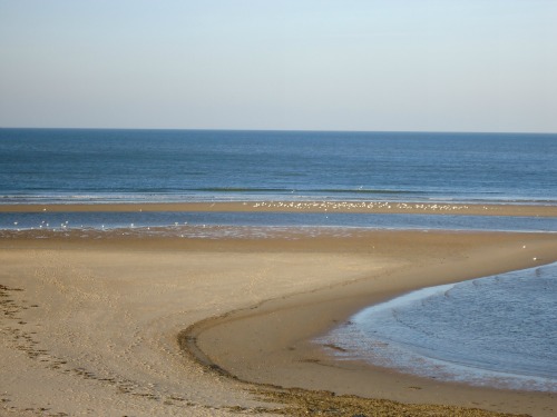 From How Is Far Va Norfolk Beach From How Is Far Va Norfolk Beach