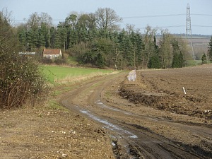 Castle Acre Circular walk around farm tracks