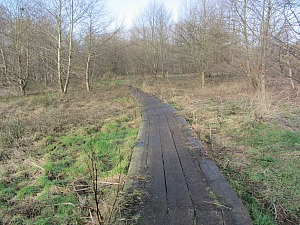 Castle Acre Circular walk boardwalk