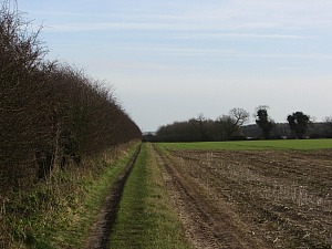 Open countryside around Castle Acre