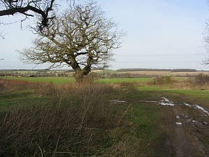 Countryside views on the circular walk around Castle Acre