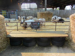 The maternity unit at Church Farm Rare Breeds Centre! The maternity unit at Church Farm Rare Breeds Centre!