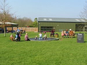 The trampoline built into the ground The trampoline built into the ground