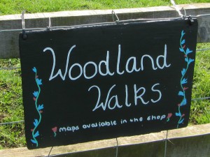Woodland walks at Church Farm Woodland walks at Church Farm