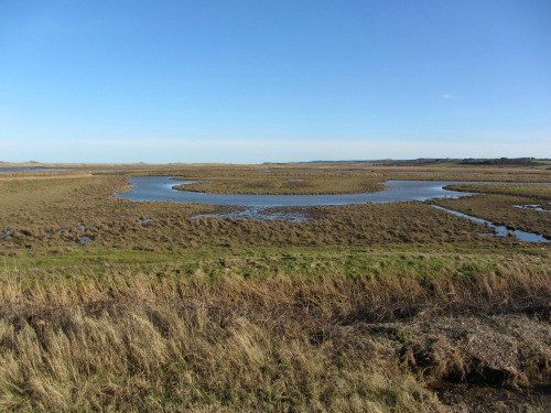 The watermeadows around Norfolk Wildlife 
Trust's Cley Marshes Nature Reserve