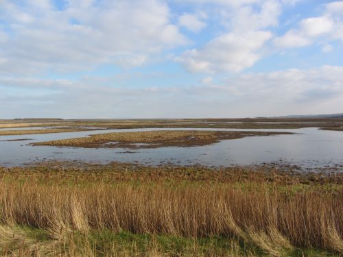 Cley marshes Cley marshes