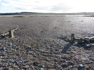 The bird hide that was swept away in the 2013 tidal surge The bird hide that was swept away in the 2013 tidal surge