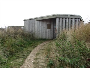 Before the tidal surge Before the tidal surge