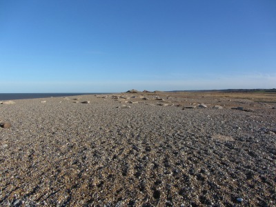 Head towards sand dunes in the distance Head towards sand dunes in the distance