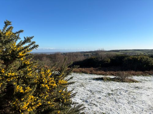 Circular walks in Norfolk