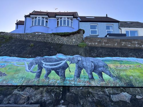 Deep history coast murals Deep history coast murals