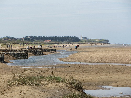 can you take dogs on old hunstanton beach