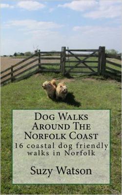 Dog walks around the Norfolk Coast